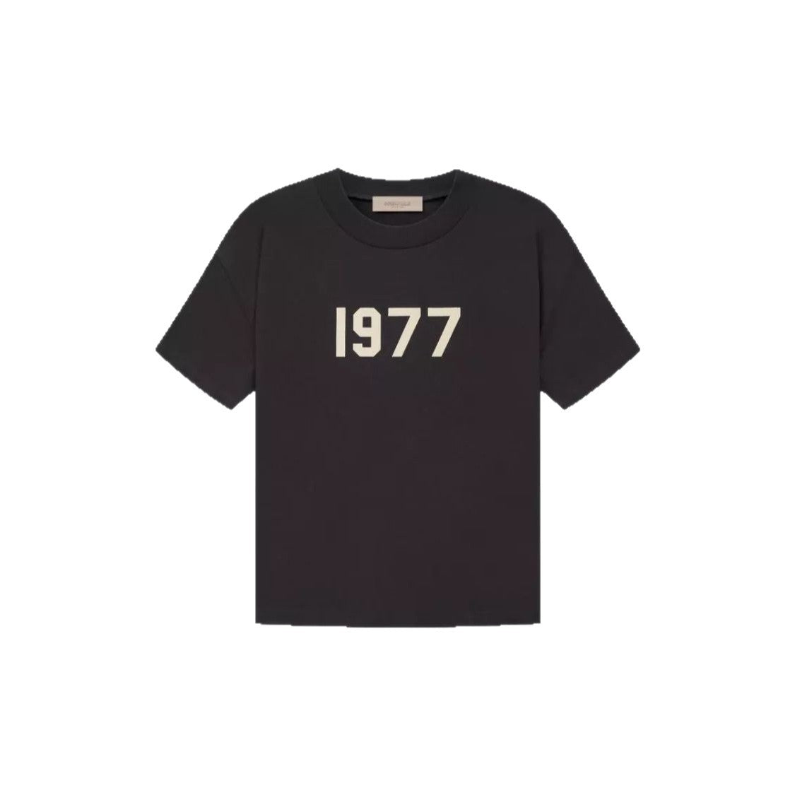 ESSENTIALS ZONE-1977-1:1
